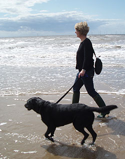 Dog Walking on Crosby Beach