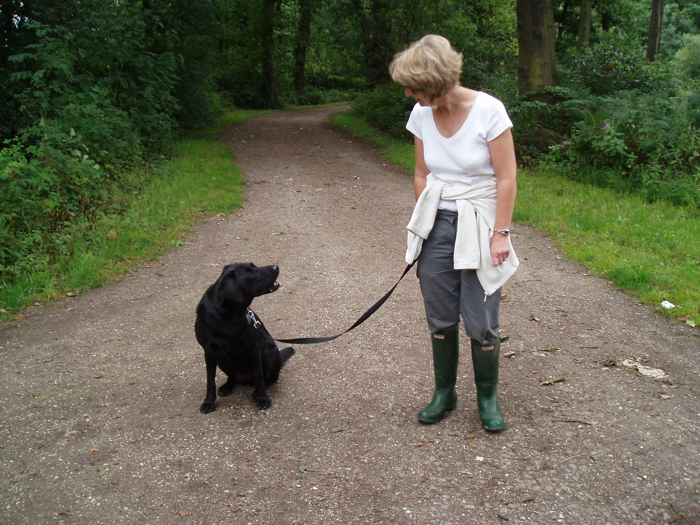 Dog Walking Liverpool, Well Esme how do you like Croxteth Country Park